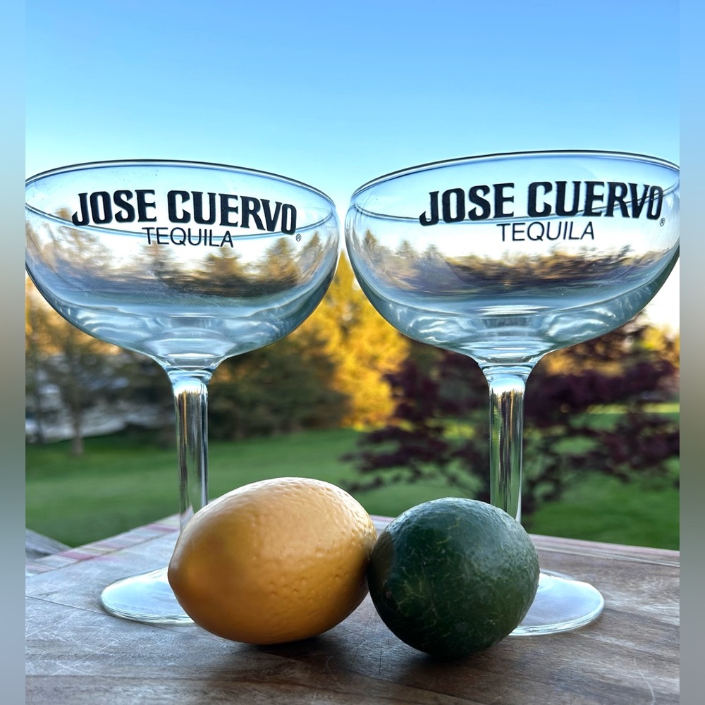 Jose Cuervo Tequila Glasses. Set of 2